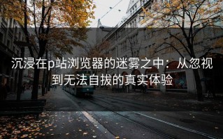 沉浸在p站浏览器的迷雾之中：从忽视到无法自拔的真实体验