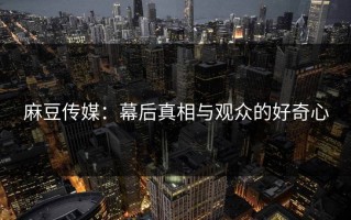 麻豆传媒：幕后真相与观众的好奇心