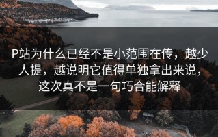 P站为什么已经不是小范围在传，越少人提，越说明它值得单独拿出来说，这次真不是一句巧合能解释