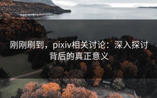 刚刚刷到，pixiv相关讨论：深入探讨背后的真正意义