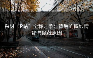 探讨“P站”全称之争：背后的微妙情绪与隐藏原因