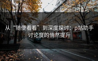 从“随便看看”到深度探讨：p站助手讨论度的悄然提升