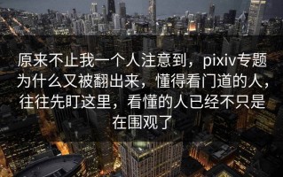 原来不止我一个人注意到，pixiv专题为什么又被翻出来，懂得看门道的人，往往先盯这里，看懂的人已经不只是在围观了