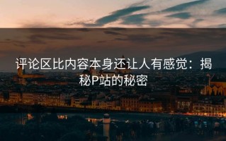 评论区比内容本身还让人有感觉：揭秘P站的秘密