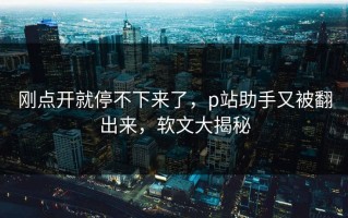 刚点开就停不下来了，p站助手又被翻出来，软文大揭秘