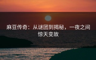 麻豆传奇：从谜团到揭秘，一夜之间惊天变故