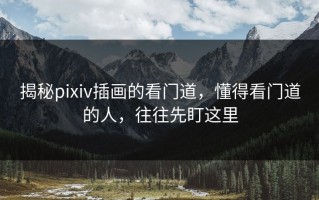 揭秘pixiv插画的看门道，懂得看门道的人，往往先盯这里