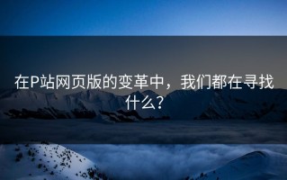 在P站网页版的变革中，我们都在寻找什么？