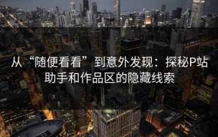 从“随便看看”到意外发现：探秘P站助手和作品区的隐藏线索