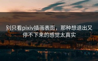 别只看pixiv插画表面，那种想退出又停不下来的感觉太真实