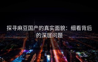 探寻麻豆国产的真实面貌：细看背后的深层问题