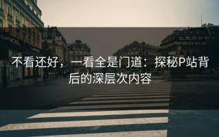 不看还好，一看全是门道：探秘P站背后的深层次内容