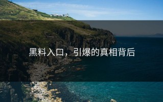黑料入口，引爆的真相背后