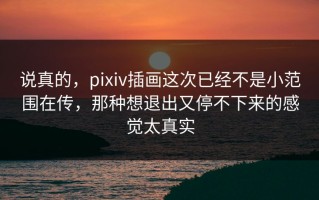 说真的，pixiv插画这次已经不是小范围在传，那种想退出又停不下来的感觉太真实