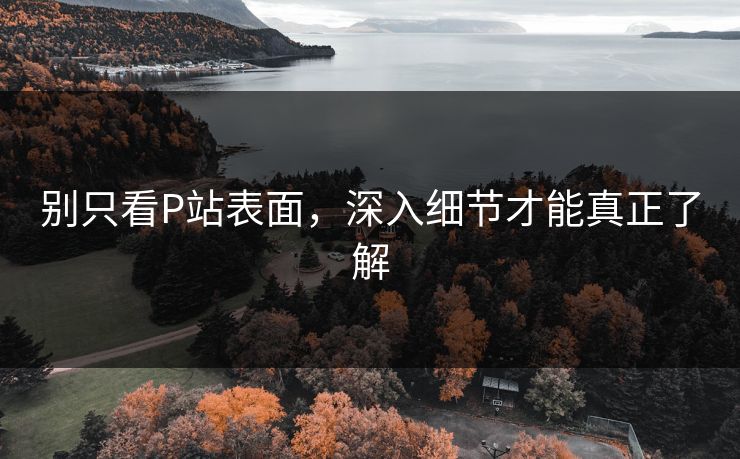 别只看P站表面，深入细节才能真正了解-第1张图片-p站影视站 | p站镜像热门视频